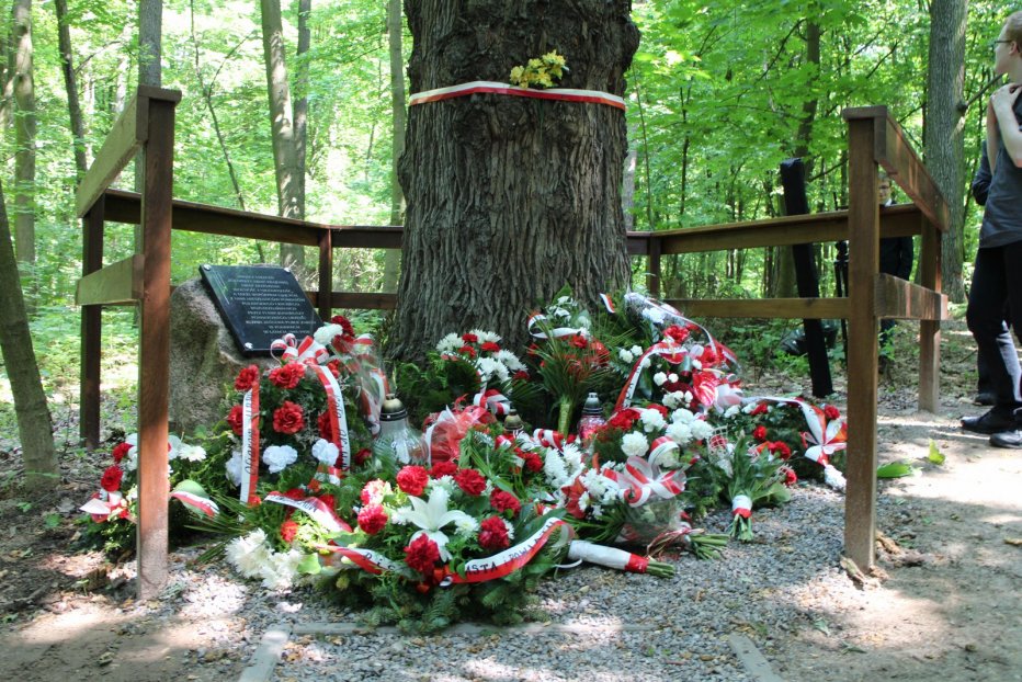 Poświęcenie miejsca straceń, wokół „ Dębu Pamięci”, gdzie oprawcy komunistyczni rozstrzeliwali Żołnierzy Wyklętych – Puławy – dn. 25.05.2014 r.