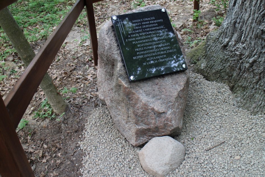 &bdquo;Dąb Pamięci&rdquo;- świadek zbrodni komunistycznej na Żołnierzach Wyklętych w latach 1944 &ndash; 1950 - Puławy - kwiecień 2014 .       